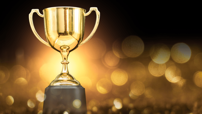 International Professional CEO Award